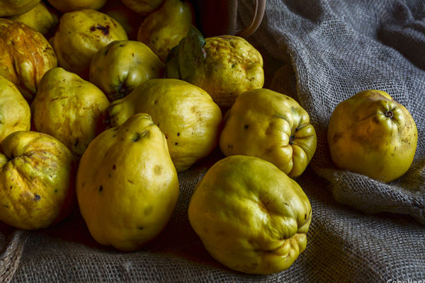 Membrillo Contra Ulcera Y Gastritis Diario Extra